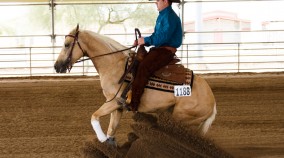 half arabian reining futurity