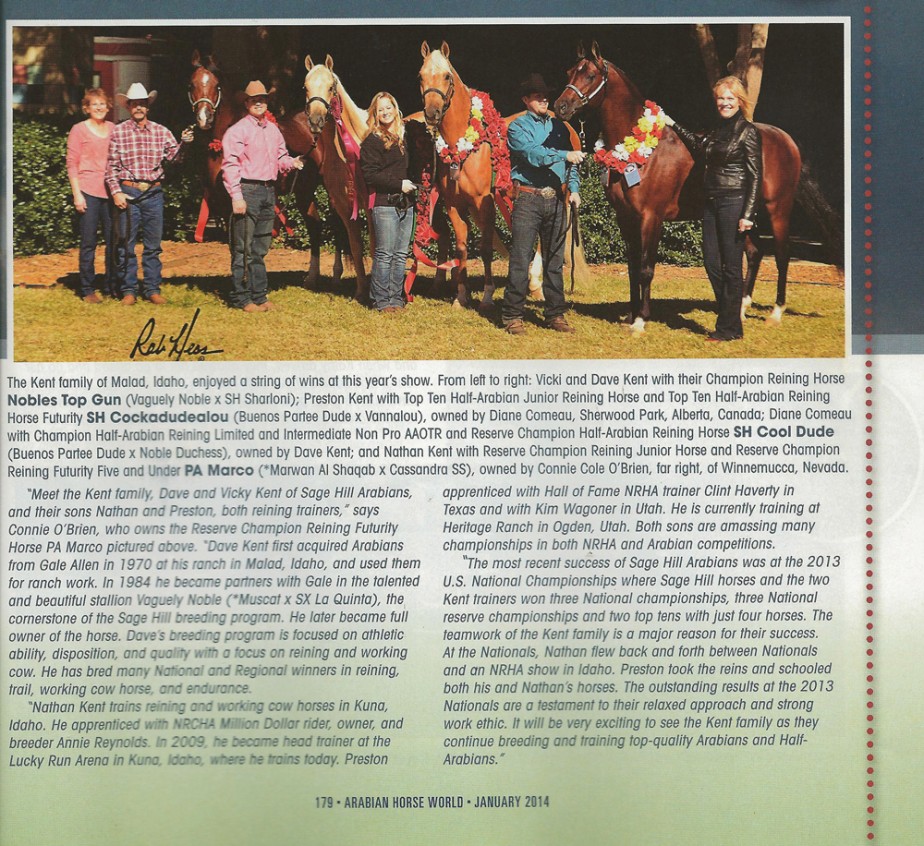 Arabian Horse World Article - Sagehill Arabians